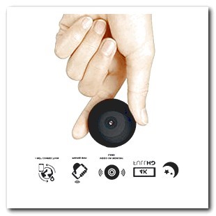 Hidden Camera on Tree